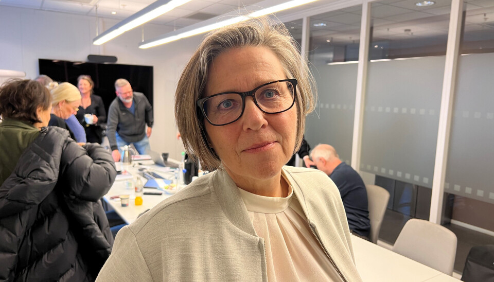 Turid Svendsen er gjenvalgt som leder av tariffrådet i YS Privat. Foto: Vetle Daler