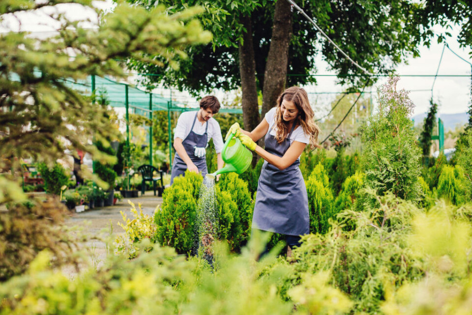 Illustrasjonsbilde Istock