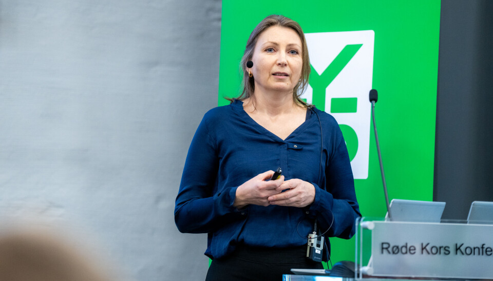 Sjefsøkonom YS, Merete Onshus sier utgangspunktet for arbeidstakersiden før årets lønnsoppgjør er godt. Likevel er det noen faktorer i Norsk økonomi som kan bli utfordrende i tiden fremover. Merete Onshus, sjefsøkonom i YS