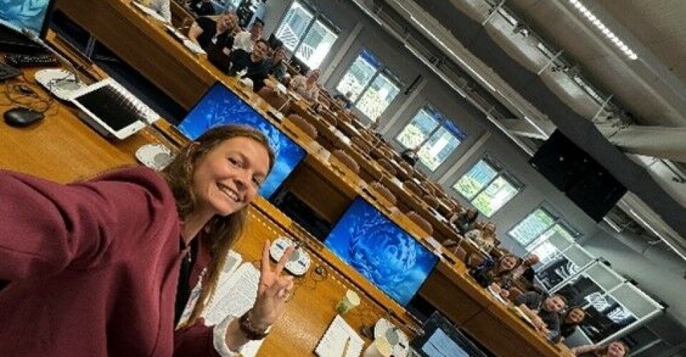 Bilde fra talerstoler med resten av deltakerne.