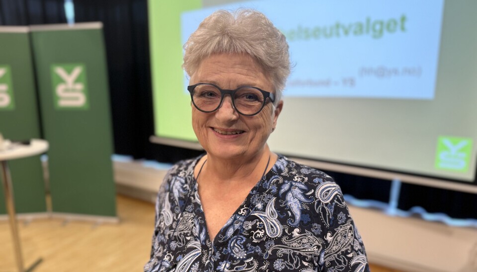 Hege Herø – Representant for YS i Kvinnearbeidshelseutvalget og leder samfunnspolitisk avdeling i YS-sekretariatet.