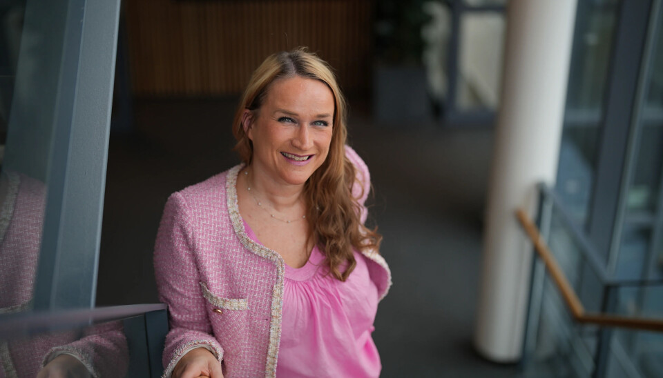 Direktør Ingvill Kvernmo i Arbeidstilsynet fortsetter kampen for et seriøst arbeidsliv