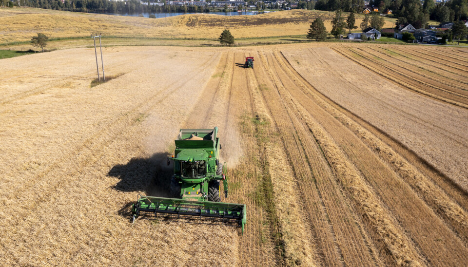 Nå vil regjeringen øke graden av selvforsyning her i landet.