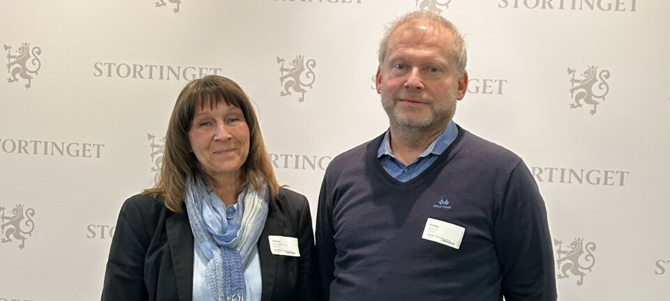 Parat Nav på Stortinget:– Nav trenger flere folk, ikke bare nye prosjekter