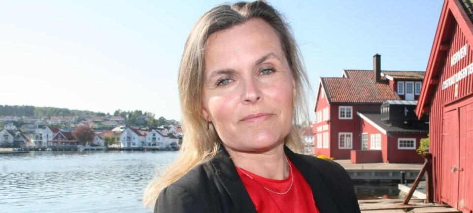 Statssekretær: Luftfarten er kritisk for beredskapen